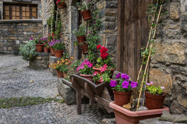 Élégance et confort : déco inspirante pour votre maison et jardin