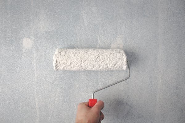 Transformez vos murs à la teste de buch avec notre peinture